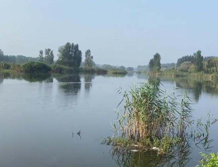 山东临沂武河湿地公园景点介绍1