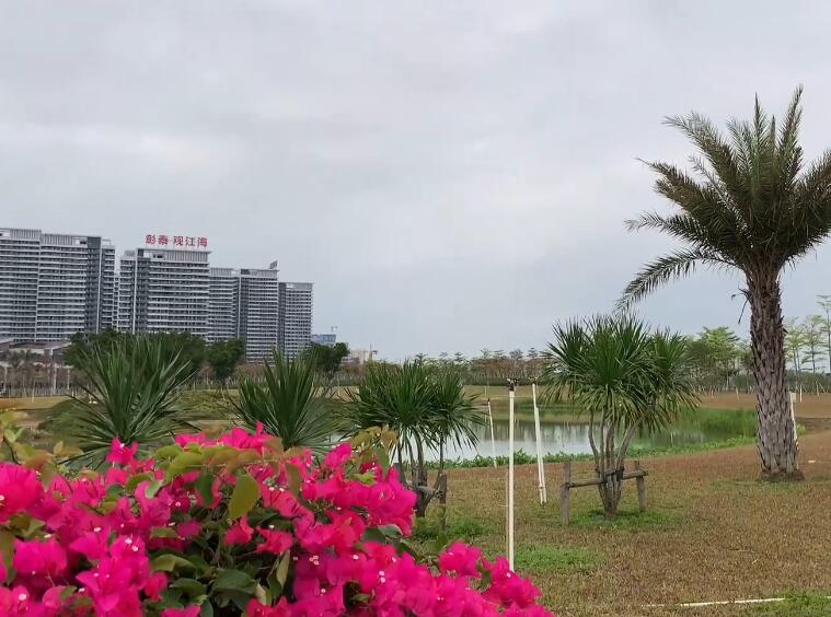 山东潍坊弥河湿地公园景点介绍1