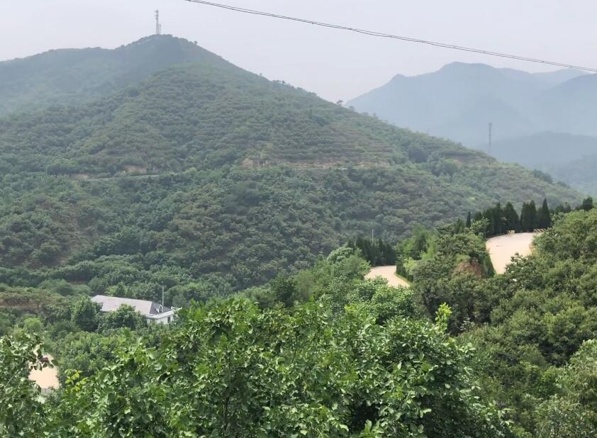 山东济南齐鲁8号风情路景点介绍1