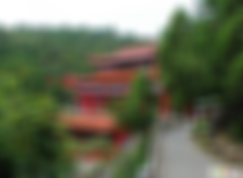 山东临沂丛柏庵景点介绍1