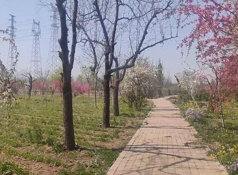 山东临沂阳光沙滩景点介绍1