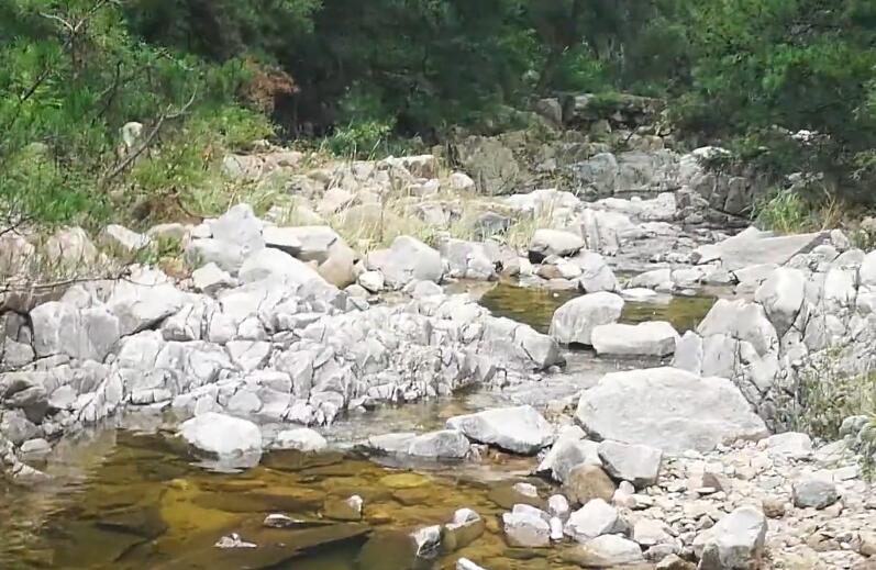 山东日照太公岛牡蛎公园景点介绍1