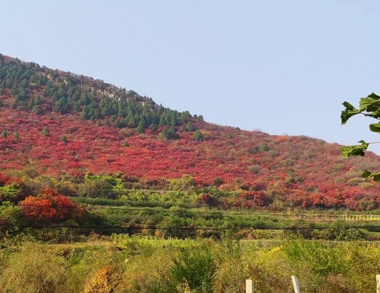 山东东营万象游乐园景点介绍1