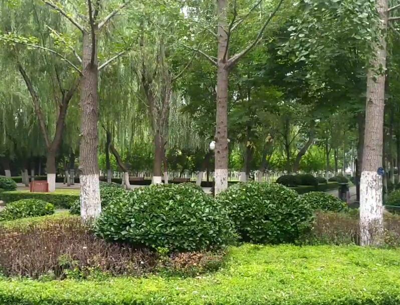 山东济南花圃公园景点介绍1