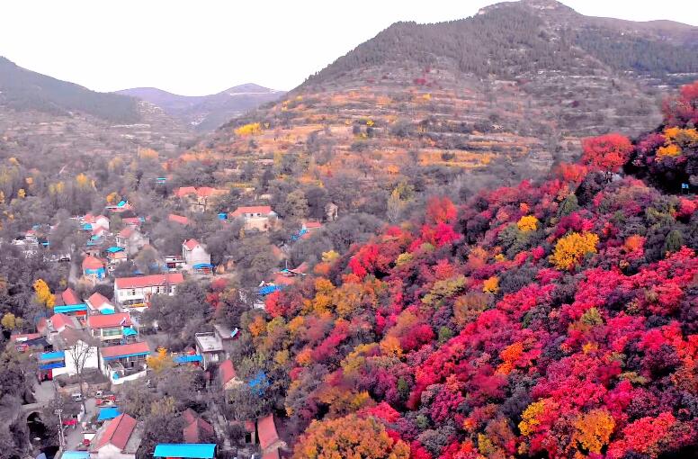 山东潍坊青山秀水旅游度假区景点介绍1