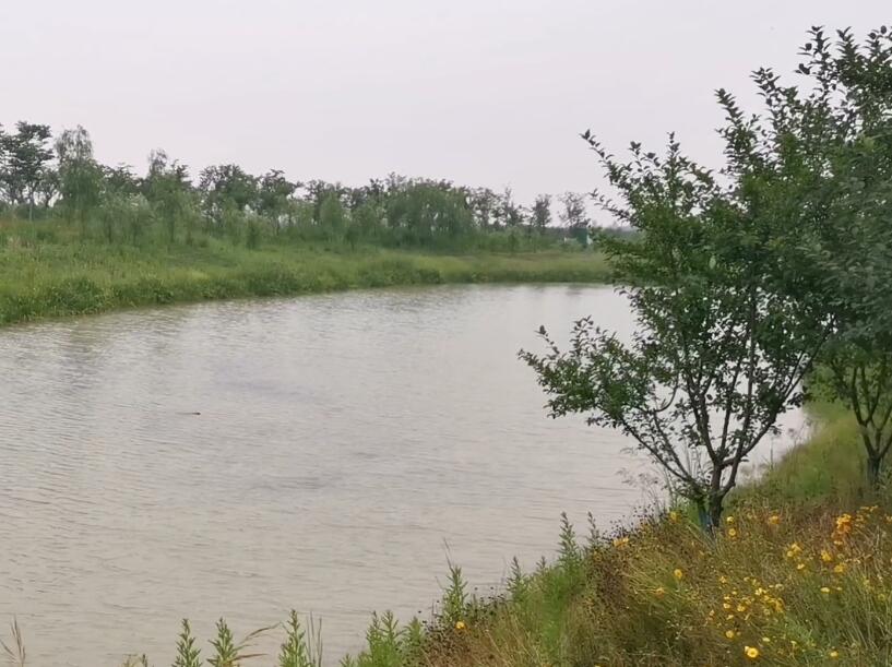 山东威海成山头风景区(国家4A级)景点介绍1