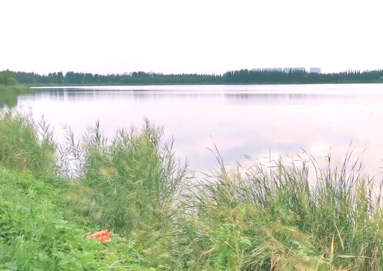山东济南龙湖湿地景点介绍1