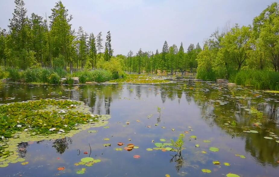 山东临沂竹泉村(国家4A级)景点介绍1