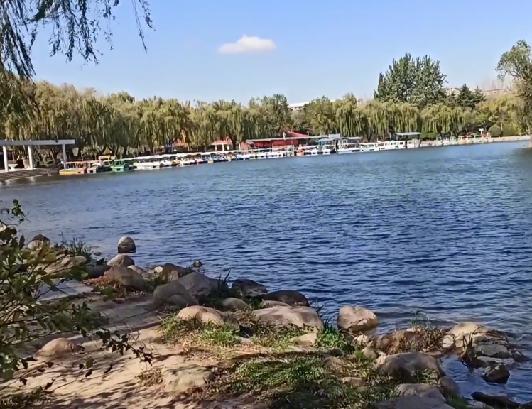 山东青岛姜山湿地公园景点介绍1