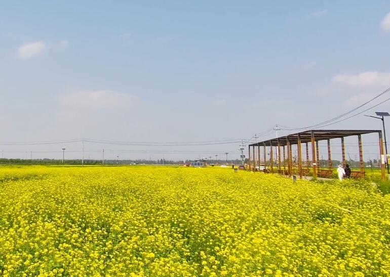 山东济南平陵古城景点介绍1