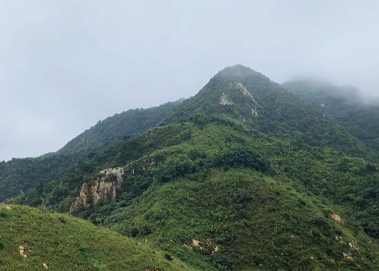 山东烟台朱雀山森林公园景点介绍1
