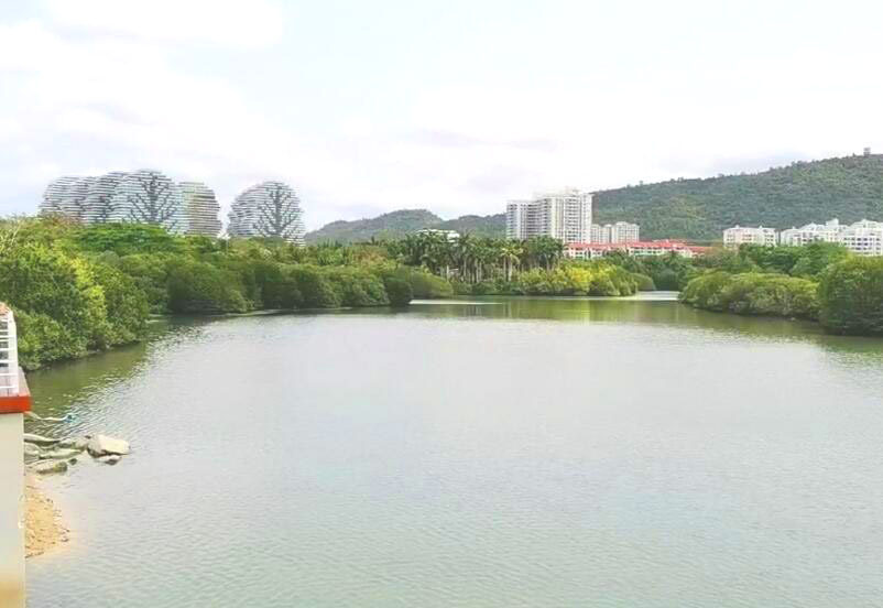 三亚吉阳白鹭公园景点介绍1