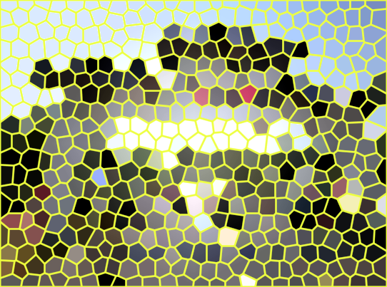 海口鸿洲皇家国际马术俱乐部景点介绍1