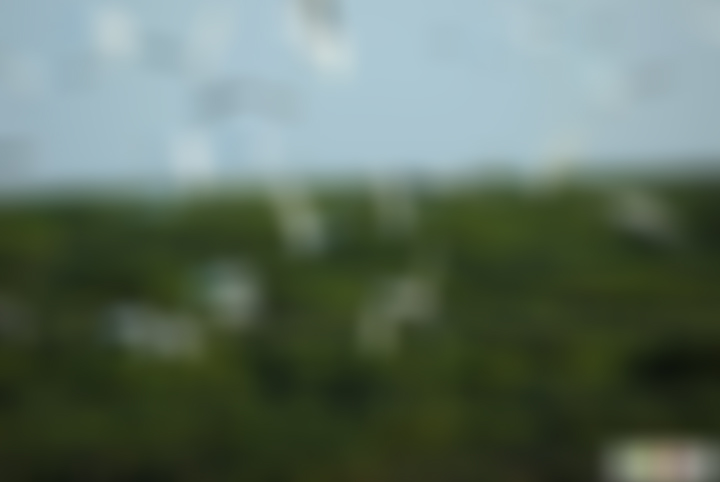 海南旅游儋州白鹭天堂景点介绍1