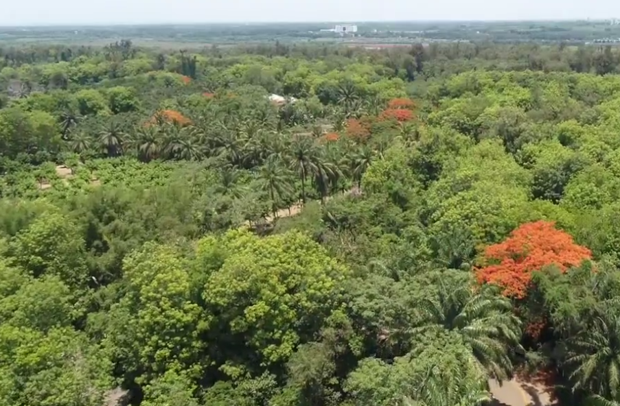 海南旅游瓦爱鲁生态旅游区景点介绍1