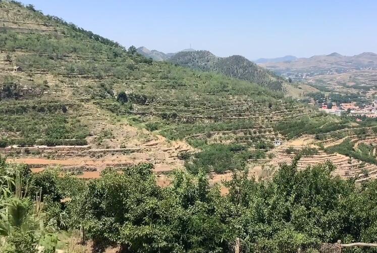 海南旅游万宁兴隆亚洲风情园景点介绍1