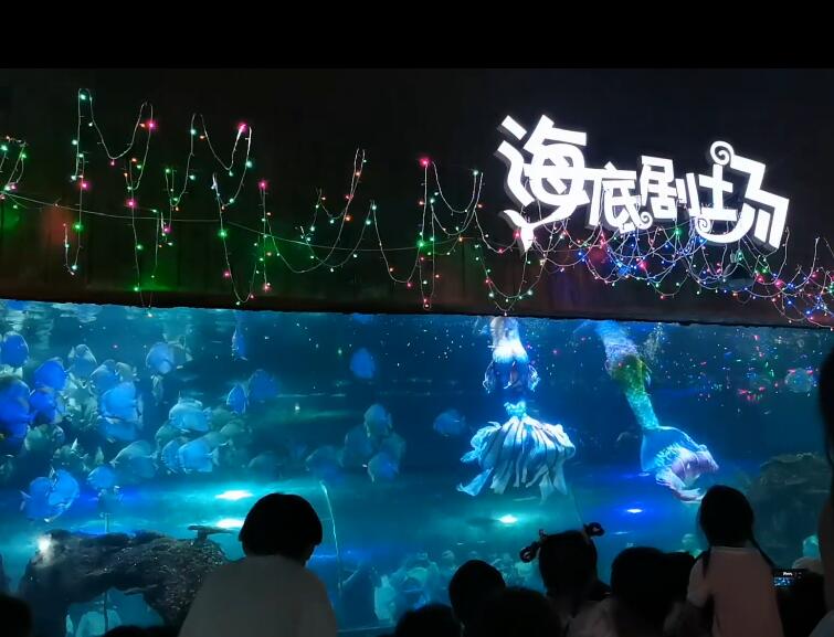 三亚吉阳三亚珊瑚礁国家级自然保护区景点介绍1