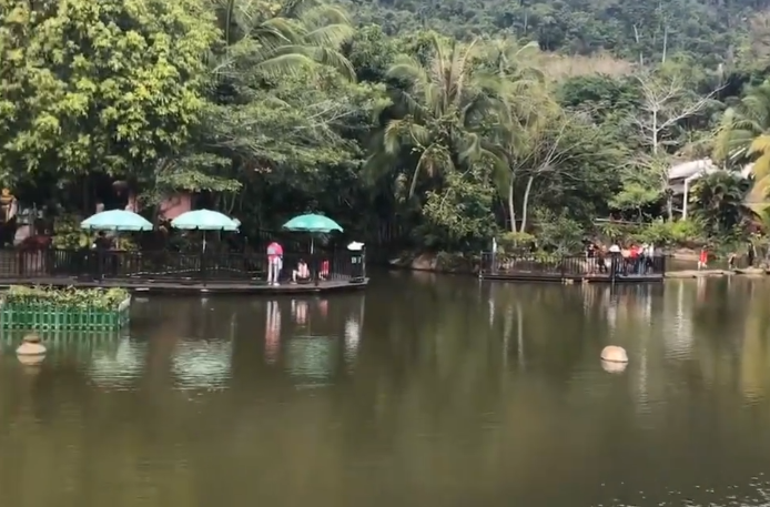 海南旅游呀诺达雨林谷景点介绍1