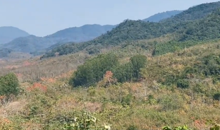 海南旅游霸王岭小镇景点介绍1