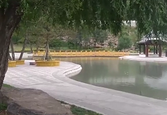 三亚天涯海角玉兰含苞景点介绍1