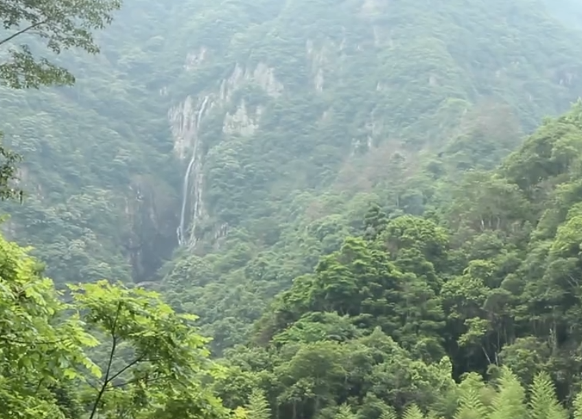 海南旅游龙潭湾自然保护区景点介绍1