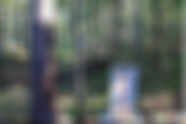 海口秀英火山森林公园景点介绍1