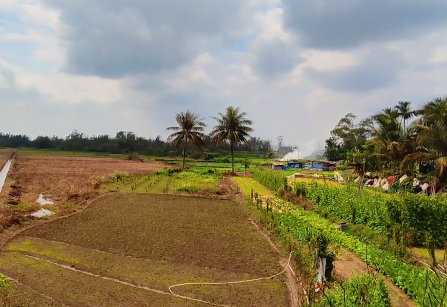 海南旅游南坤民族风情旅游区景点介绍1