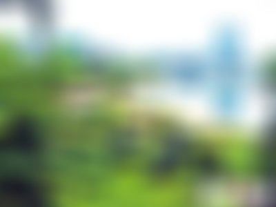 海口琼山美舍河带状公园景点介绍1