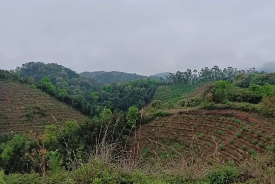 海南旅游高山岭景点介绍1
