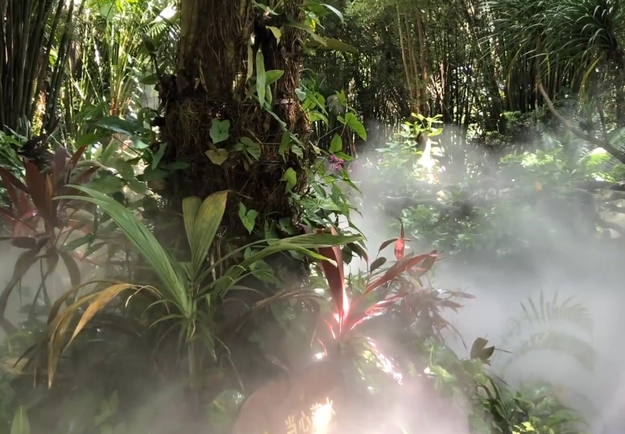 海南旅游呀诺达兰花溪景点介绍1