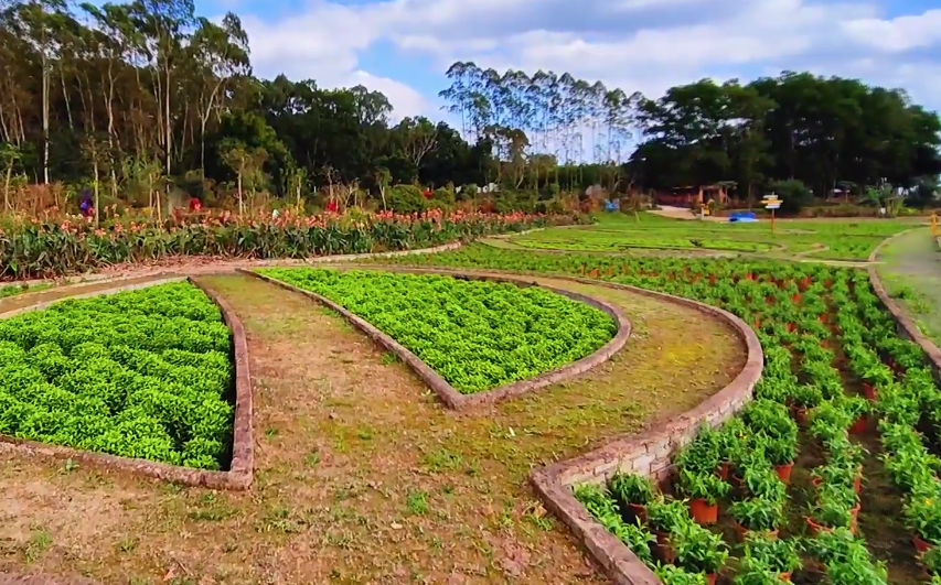 海南旅游乡村童年情怀农庄景点介绍1