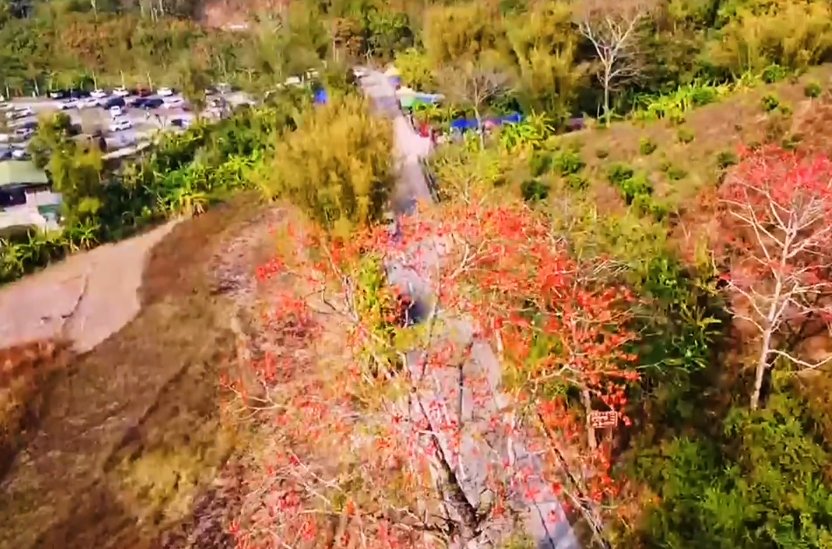 海南旅游坝王岭自然保护区景点介绍1