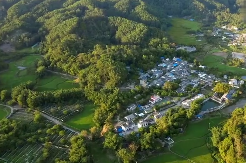 海南旅游加笼坪热带季雨林景点介绍1