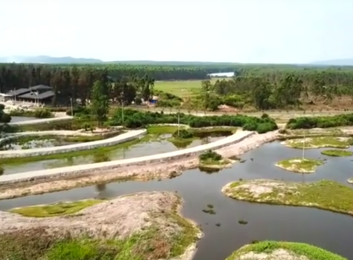 海南旅游海尾湿地公园景点介绍1