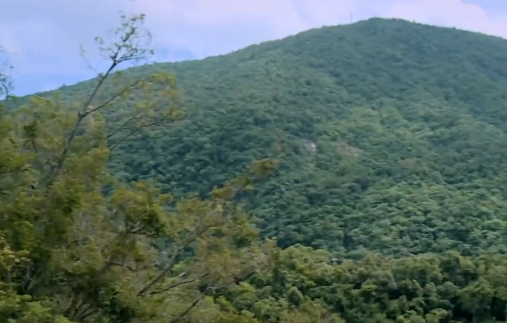 海南旅游霸王岭自然保护区景点介绍1