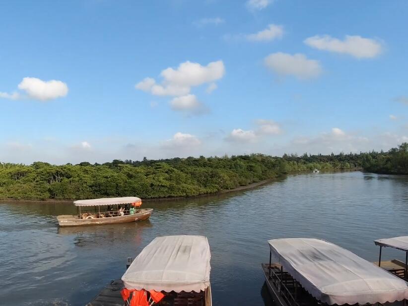 海口美兰东寨港红树林旅游区景点介绍1