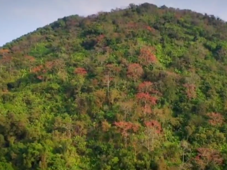 海南旅游九架岭风景区景点介绍1