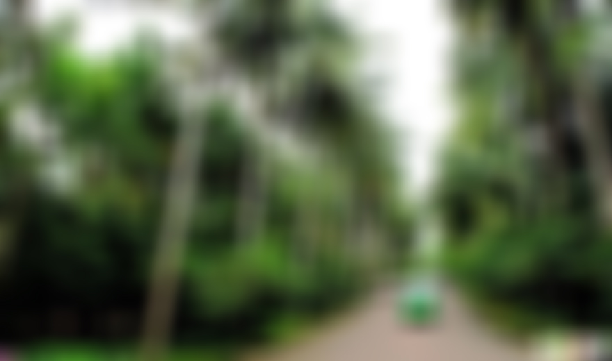 海南旅游儋州海南热带植物园景点介绍1