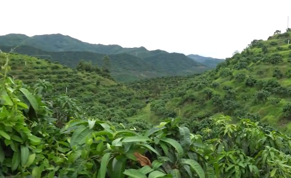海南旅游鹦哥岭景点介绍1