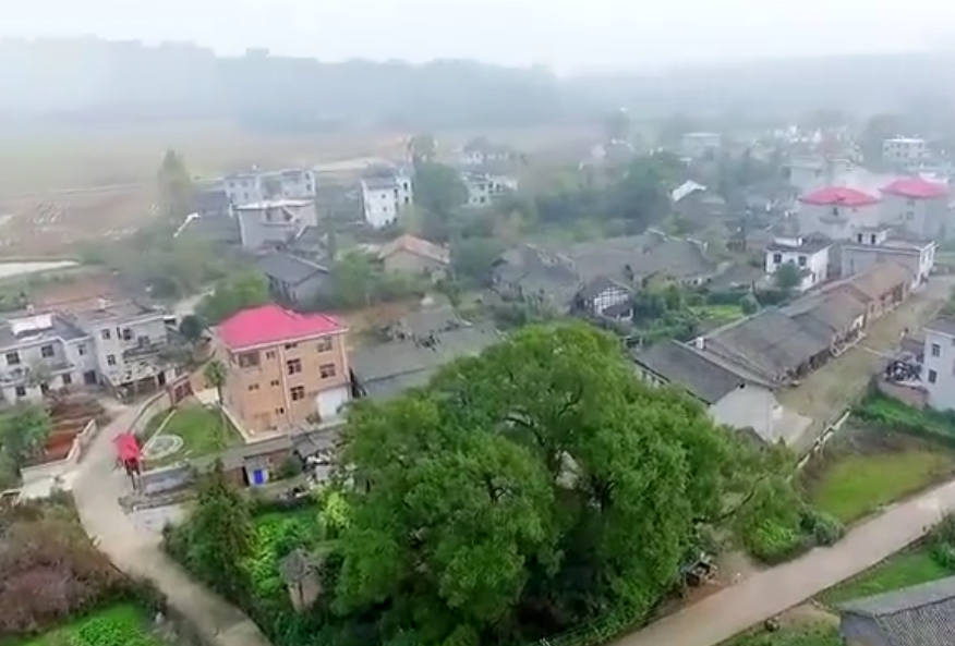 海南旅游南田起义旧址景点介绍1