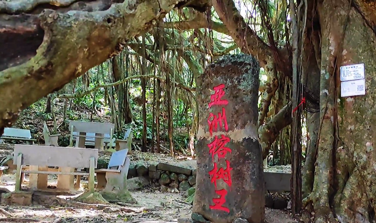 海口火车头万人海鲜广场景点介绍1