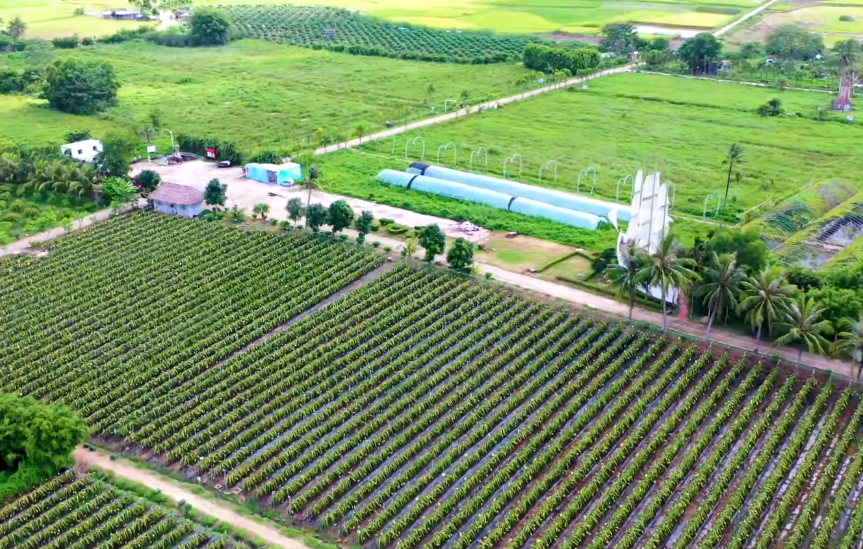 海南旅游凤凰农庄景点介绍1