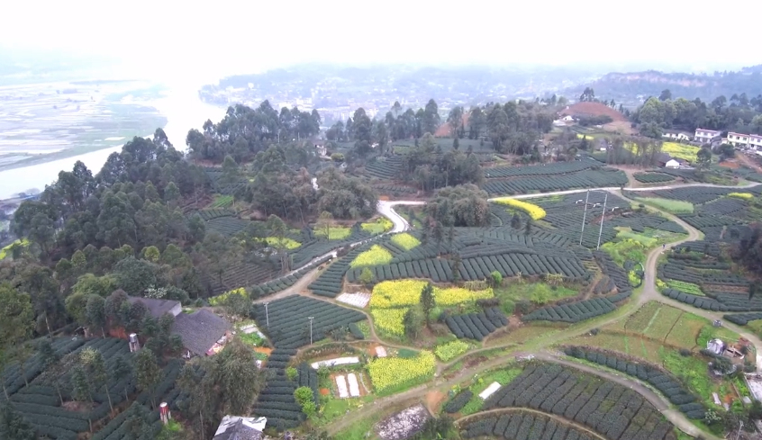 海口海甸溪景点介绍1