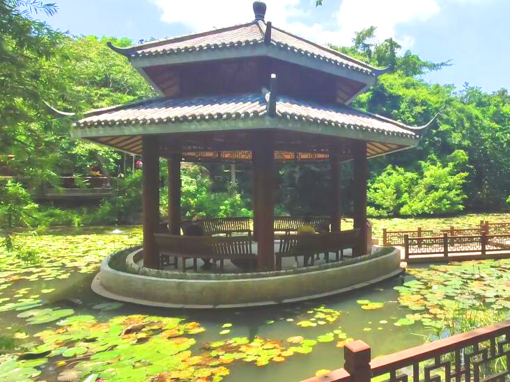 三亚亚龙湾兰花谷景点介绍1