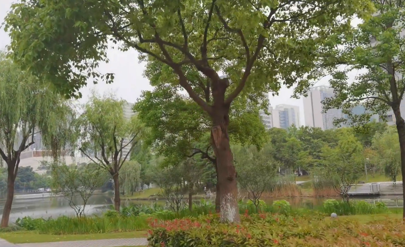 三亚南山佛教文化苑景点介绍1