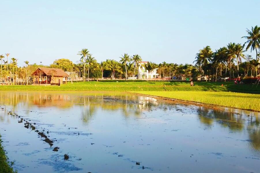 海南旅游五龙港景点介绍1