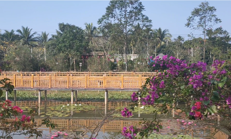 海南旅游大顺农场景点介绍1