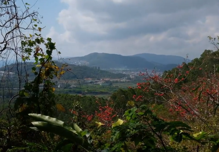 海南旅游红角岭景点介绍1