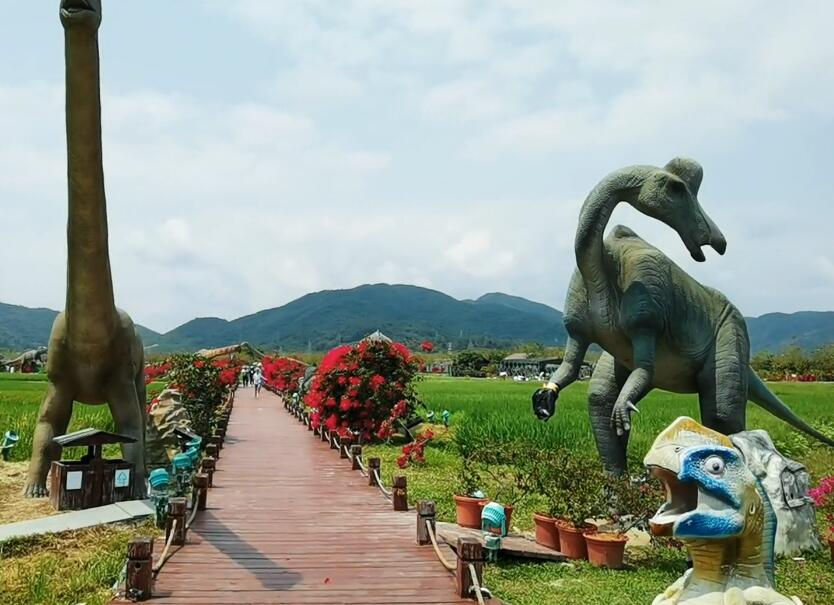 三亚水稻国家公园景点介绍1