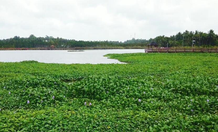 海南旅游七星伴月景区景点介绍1